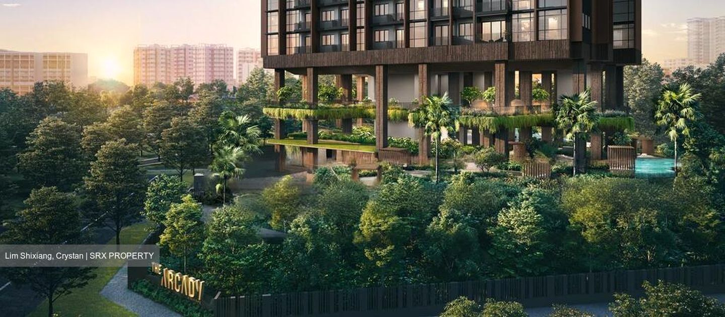 THE ARCADY AT BOON KENG (D12), Apartment #460058401